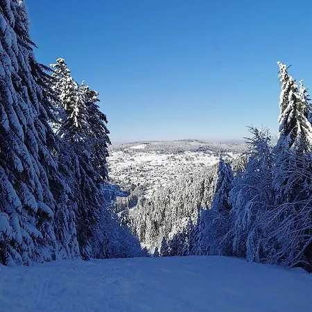 Апартаменты Chamois D'or Ideal 2 Familles, Amis 9 Personnes Proche De Gerardmer *