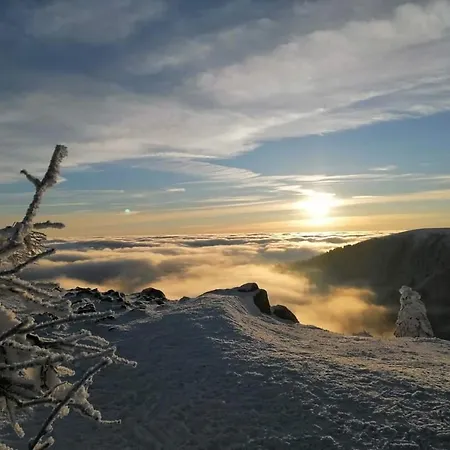 Chamois D'or Ideal 2 Familles, Amis 9 Personnes Proche De Gerardmer Granges-sur-Vologne