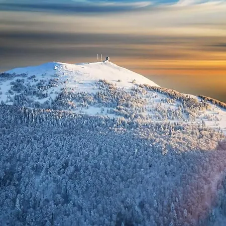 Chamois D'or Ideal 2 Familles, Amis 9 Personnes Proche De Gerardmer Апартаменты Granges-sur-Vologne